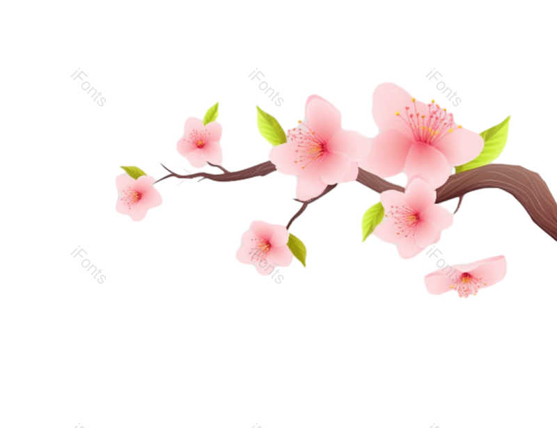 粉红色的花图片,樱花元素,灰色背景PNG,免抠素材